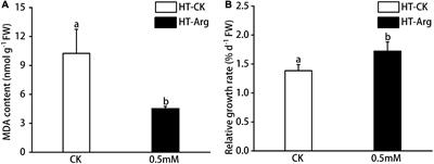 Physiological and Transcriptome Analysis of Exogenous L-Arginine in the Alleviation of High-Temperature Stress in Gracilariopsis lemaneiformis